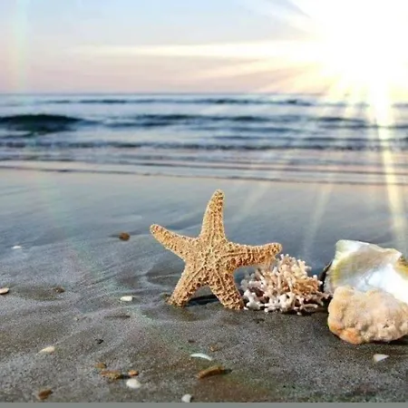 A-19 Sea View Studio-apartmen Sarafovo * Burgas City