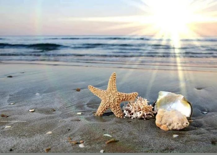 A-19 Sea View Studio-apartmen Sarafovo * Burgas City